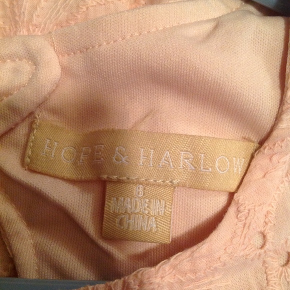 Hope and Harlow Pink Eyelet Shift Dress sz 6 EUC - Picture 3 of 4